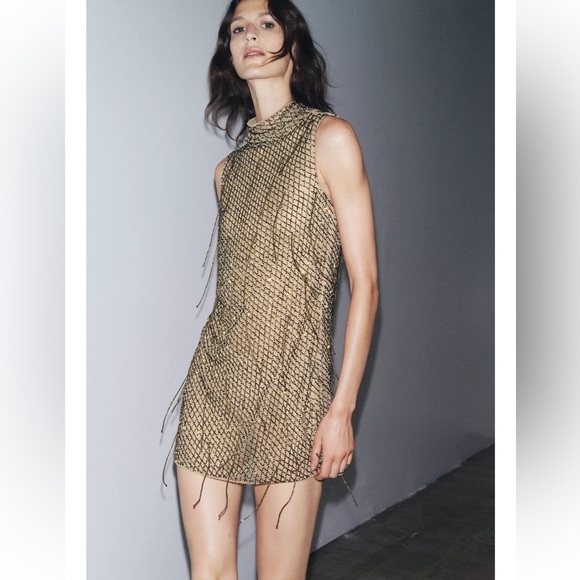 Zara Embroidered Beaded Mini Dress - Picture 4 of 11